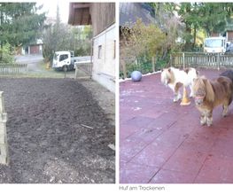 Talpa GmbH Bild 1
