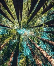 Pompes Funèbres du Léman Sàrl Bild 1