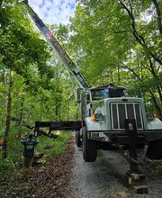 Life's Tree Doctor, LLC image 4