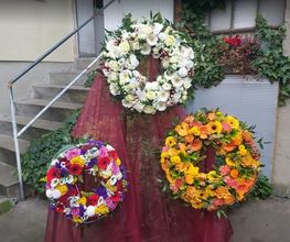Blumen Groth Bild 1