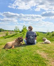 KOCK'S DOGS - Hundetraining Bild 3