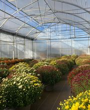 Dessapt Horticulture image 3