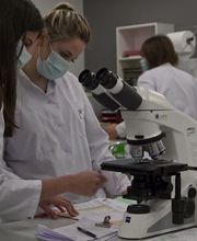 Hospices Civils de Beaune image 2