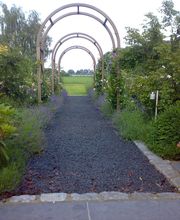 Garten- und Landschaftsbau Hans Ingenpass Bild 2