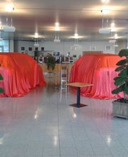 BaumGärtner - Giardini Bild 14