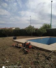 Les Jardins du Plateau image 2