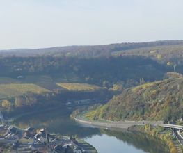 Weingut Hubertus M. Apel Bild 13