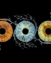 Studio Lichtwert Bild 17