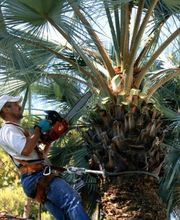 SARGIOTTO Didier & Fils image 11