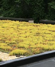 Secure Roofing image 13