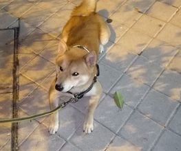 223677592-1-CZ8Zvicbyk1725788612413.jpeg