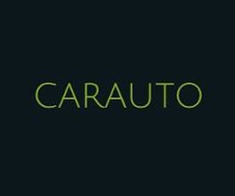 Carauto image 6