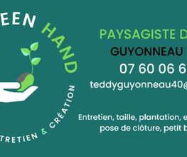 The Green Hand image 2