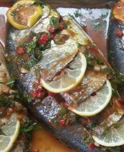 Palmyra Restaurant Bild 3