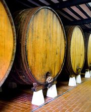 Sidra Riestra imagen 16