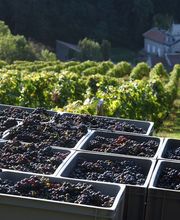 Bollache Arcan GAEC image 2