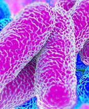 LEGIONELLA-LLEIDA.jpg