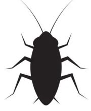 DESINFEXION SERVICE SARL Bild 2