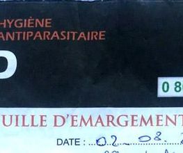 3D Conseil image 17