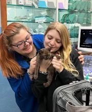 Paumanok Veterinary Hospital image 7