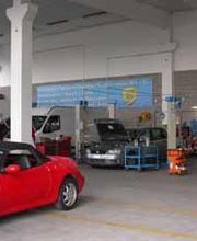 Gallery Cliente
