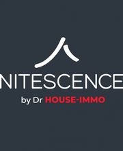 Nitescence image 6