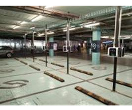 Wenea imagen 2