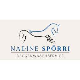 Nadine Spörri Deckenwaschservice