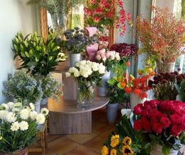 Fleurs Schildknecht image 12