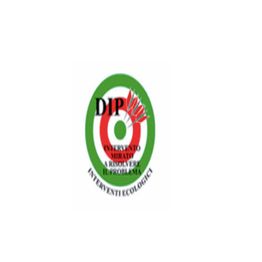 Dip Spurghi logo