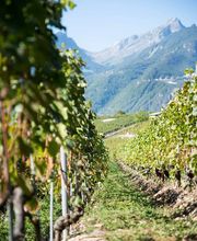 Les Celliers du Chablais SA Bild 2