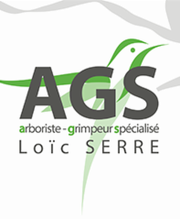 AGS - Arboriste Grimpeur Spécialisé image 2
