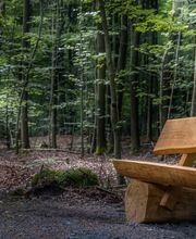 FriedWald Ostfriesland Bild 5