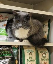 Southern Paws Animal Hospital image 7