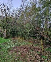 Bouche Nicolas image 14