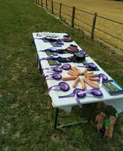 Les Poneys de Monthoiron image 18