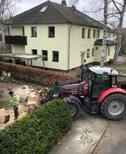 Thies Dölger Gartenbau Bild 7