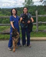 Broad River Animal Hospital image 5