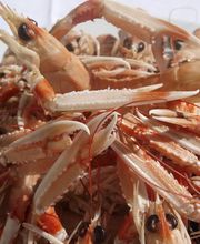 Le Cheval Blanc image 1