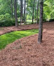 The Pine Needle Man Landscaping LLC image 1