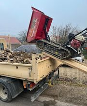 Teixeira Costa image 1