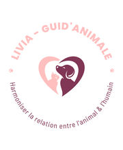 Livia - Guid'Animale : Consultante en Comportement Canin & Félin image 1