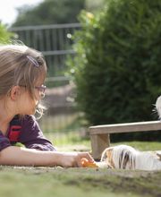 Kinderbauernhof Wigger Bild 18