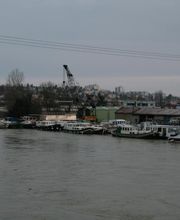 EVANS MARINE INTERNATIONAL image 2