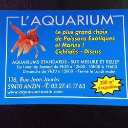 L Aquarium
