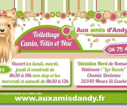 Aux Amis D Andy image 3