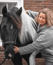 Pferdeheilwissen Bild 7