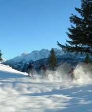 Hasli-Aktiv Outdoorveranstalter