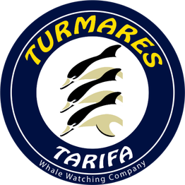 Turmares Tarifa