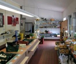 Bauernhof Lehmann Bild 8